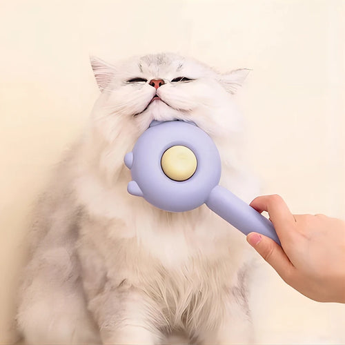 Brosse magique pour animaux – Démêlage et massage, nettoyage facile
