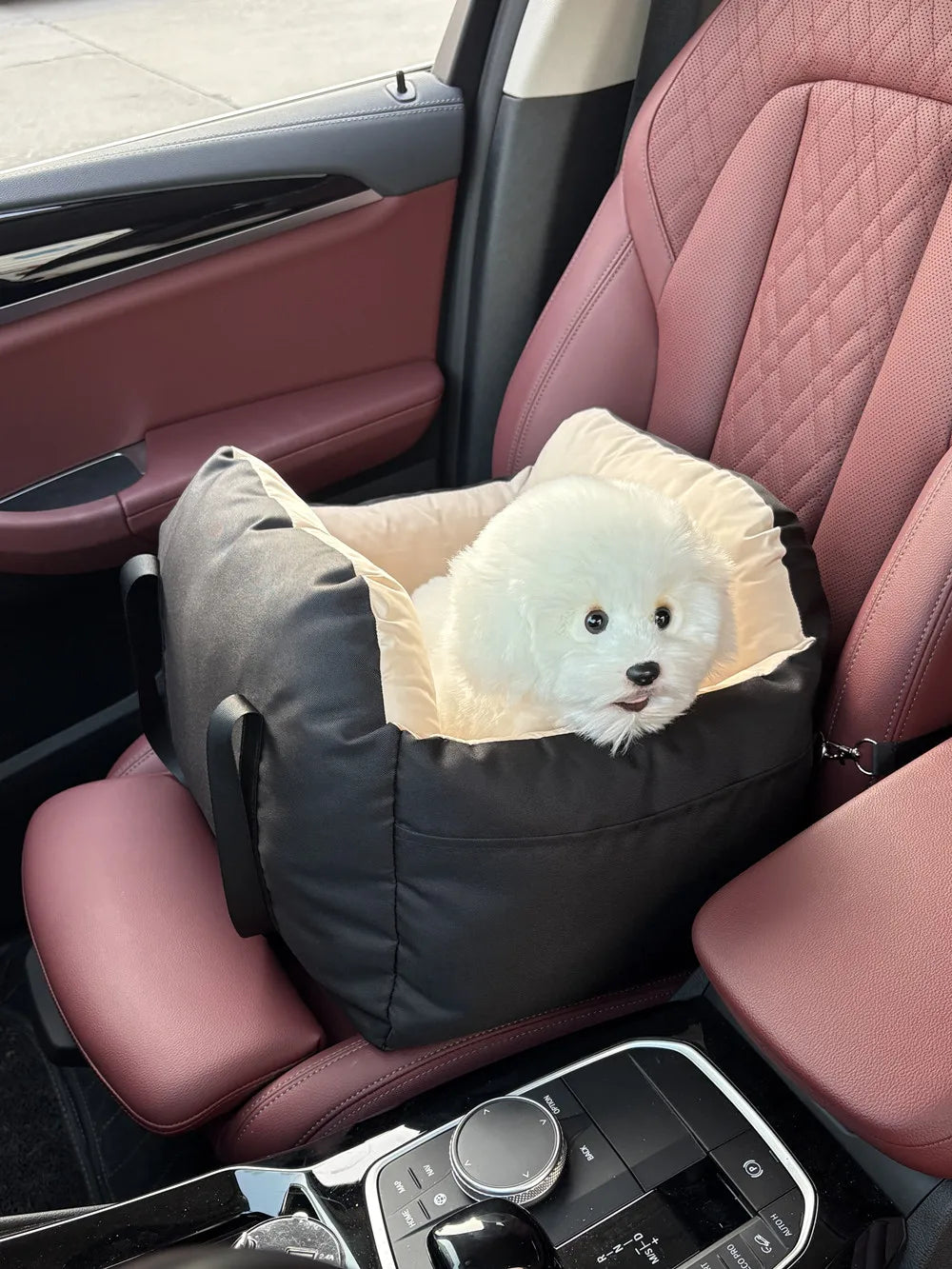 Siège auto pour chien et chat – Universel, lavable, avec ceinture de sécurité